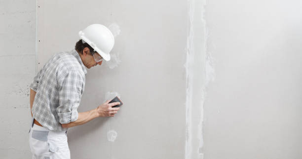 Best Drywall Removal and Disposal  in Garrett, IN